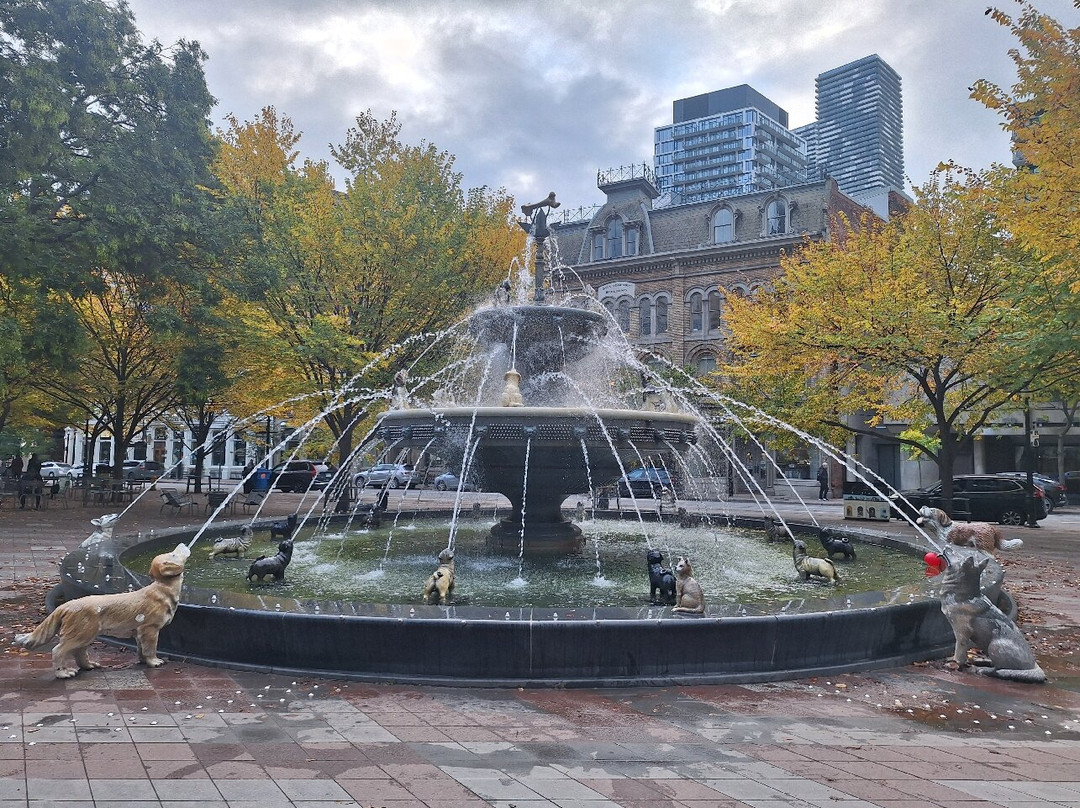 Berczy Park-多伦多必去景点