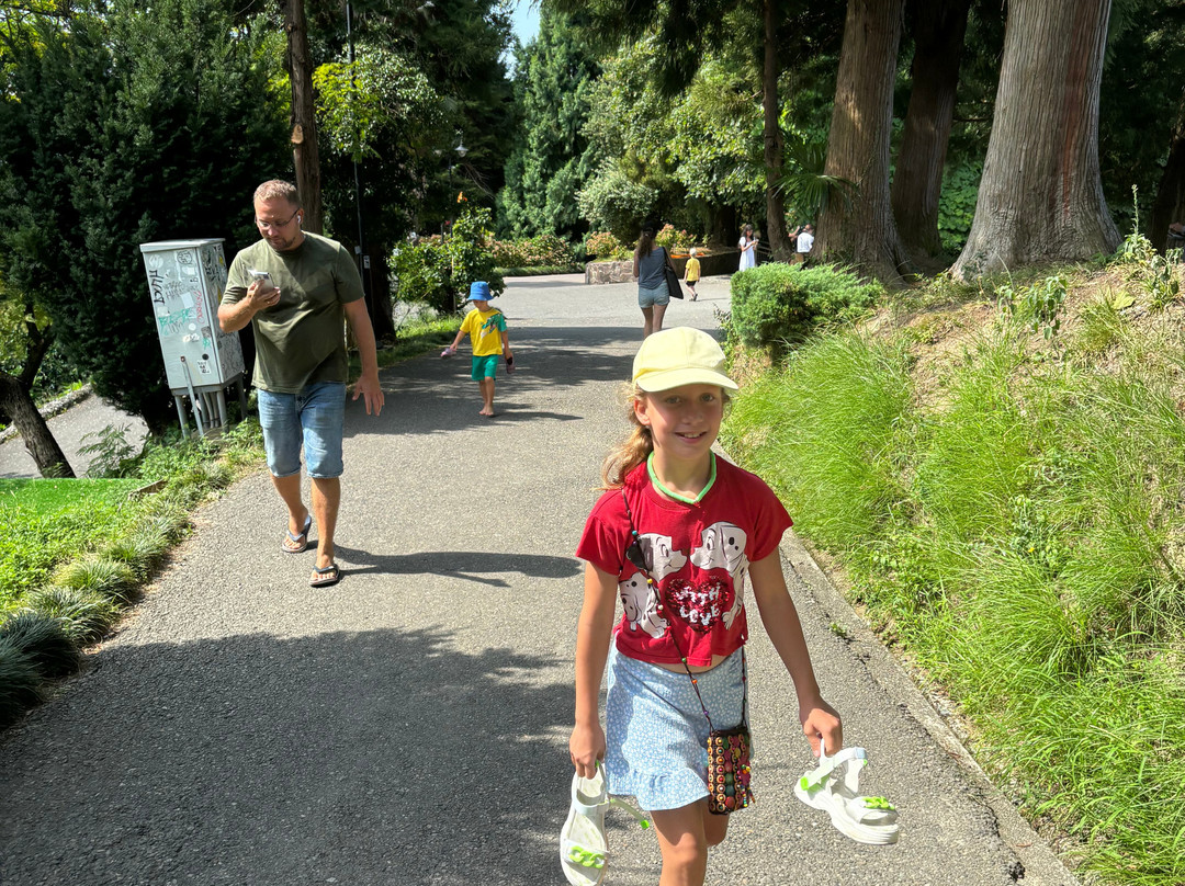 Batumi Botanical Gardens-巴统必去景点