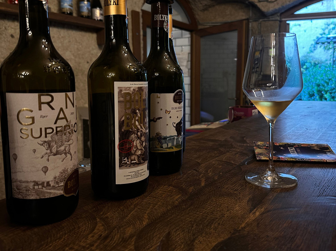 Bolyki Winery and Vineyard-埃格尔必去景点