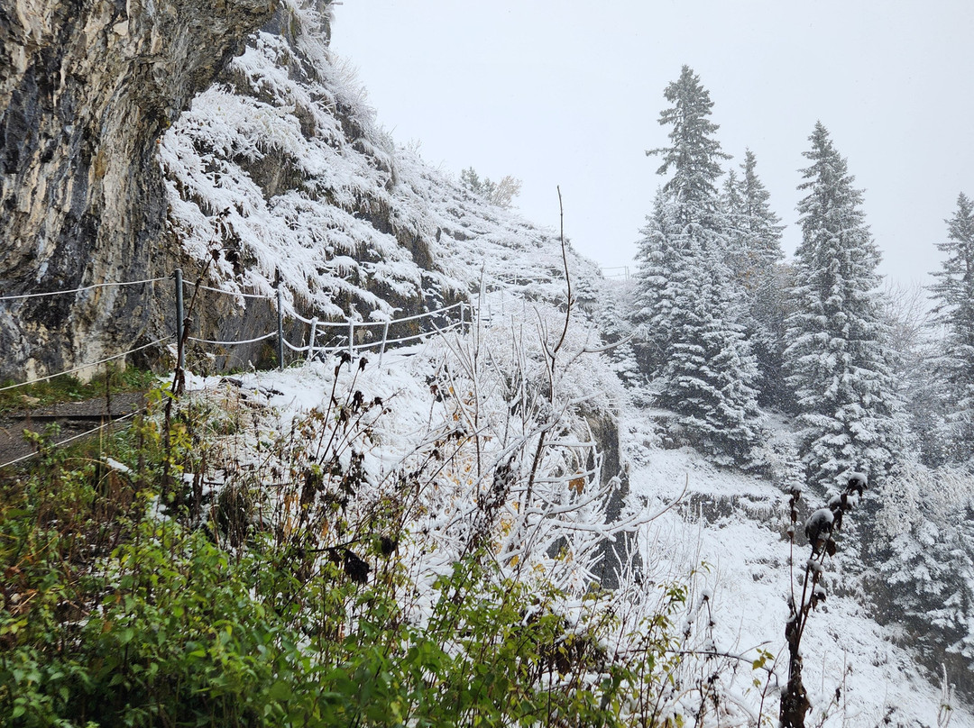 Aescher – Gasthaus am Berg-Weissbad必去景点