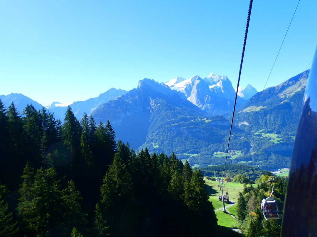 维多利亚酒店主图