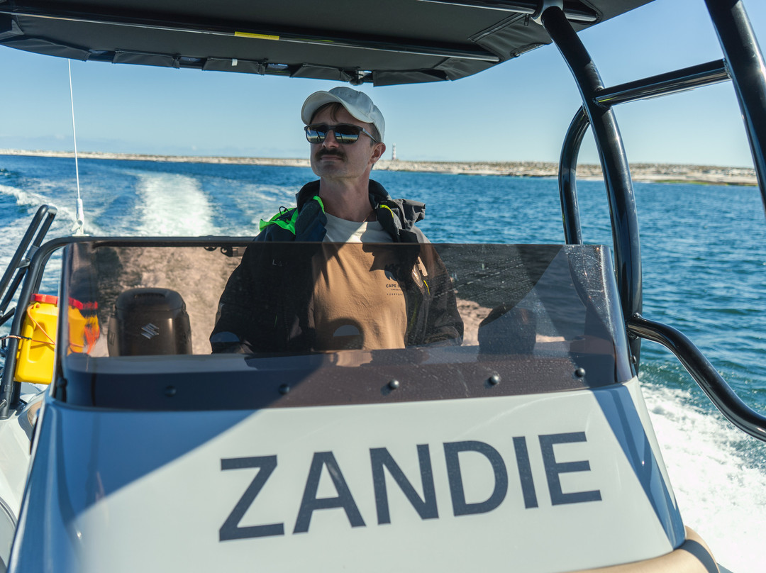 Cape Coast Expeditions-Yzerfontein必去景点