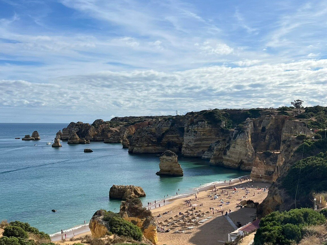 Yellowfish Transfers-法罗必去景点