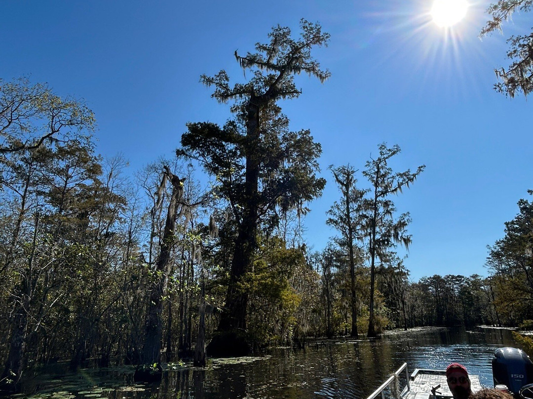 Beyond the Bayou-新奥尔良必去景点
