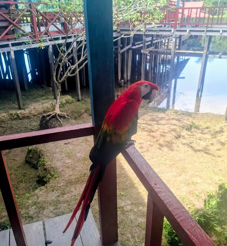 Amazon Maguta Jungle Lodge-莱蒂西亚必去景点