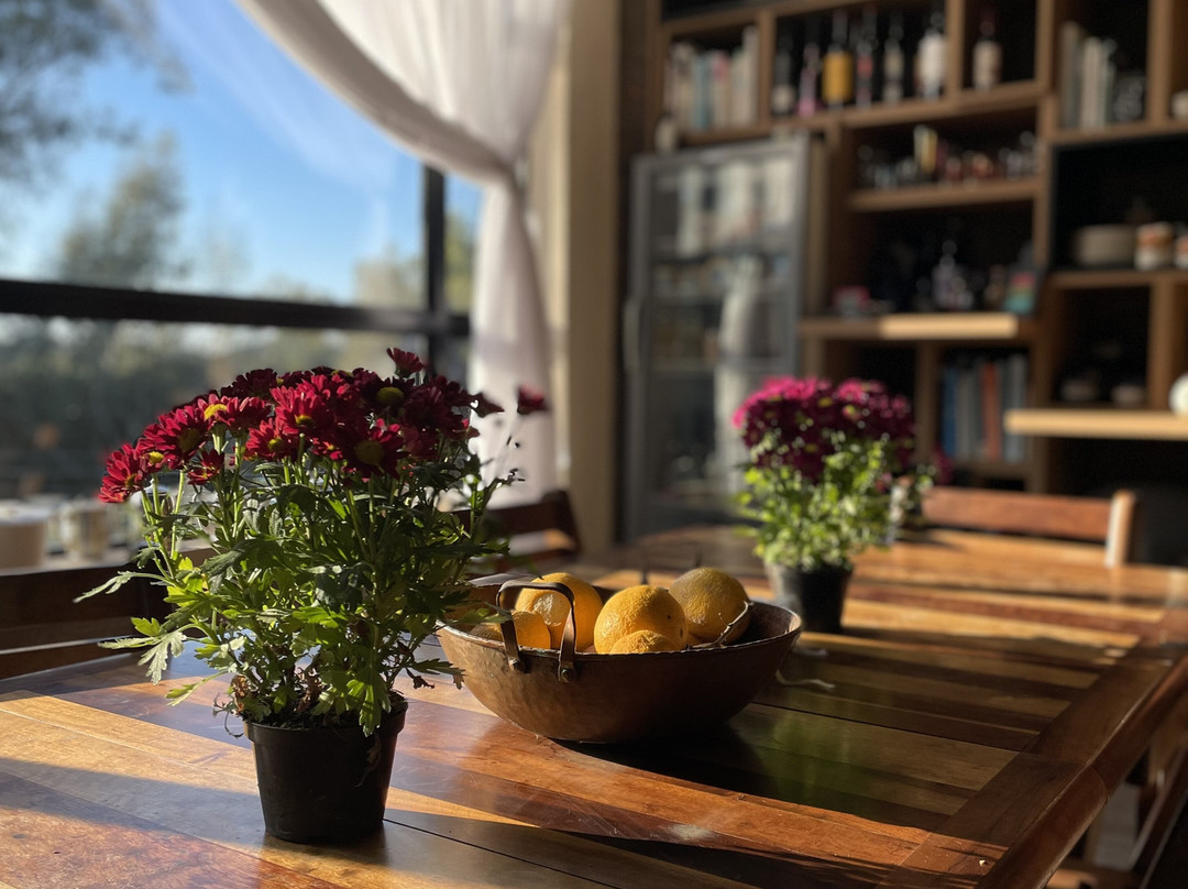 Canela Do Mato-Santana do Livramento必去景点