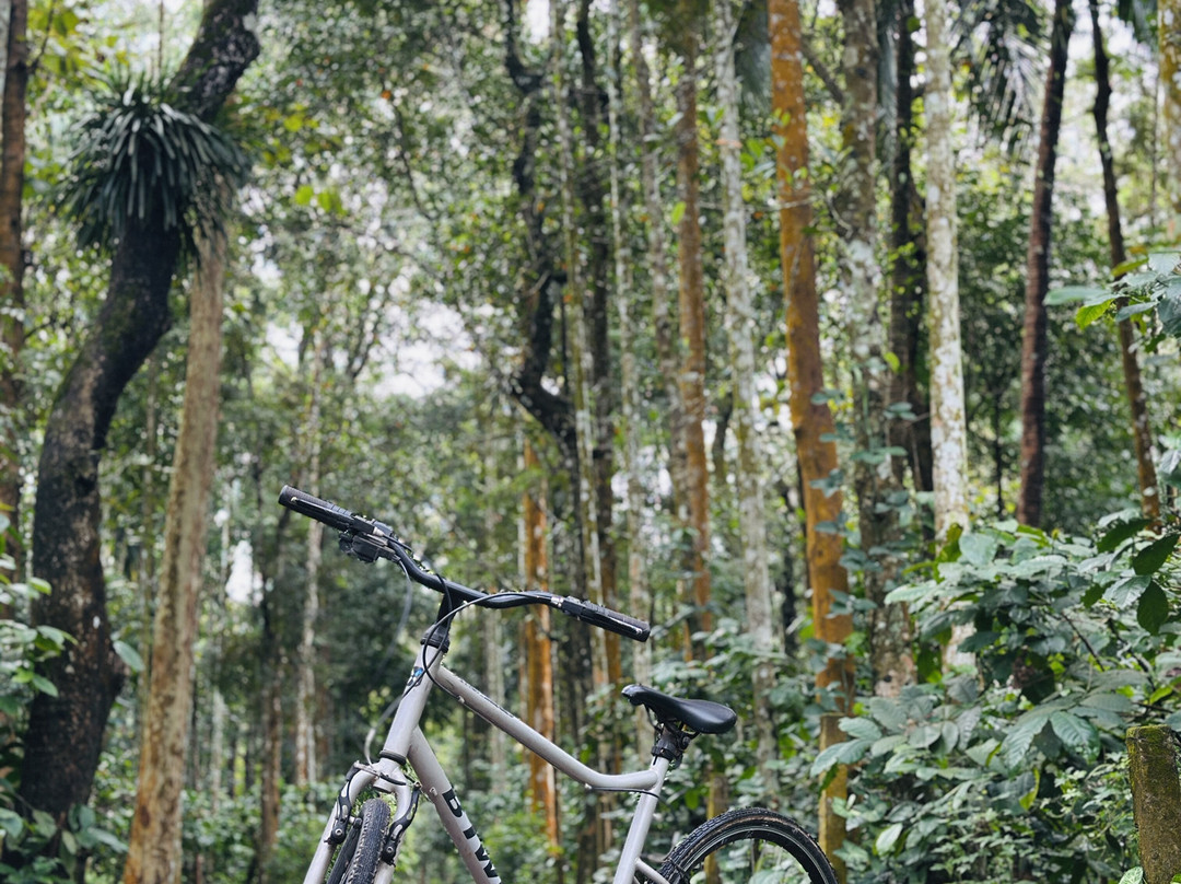 Enteveedu Homestay主图