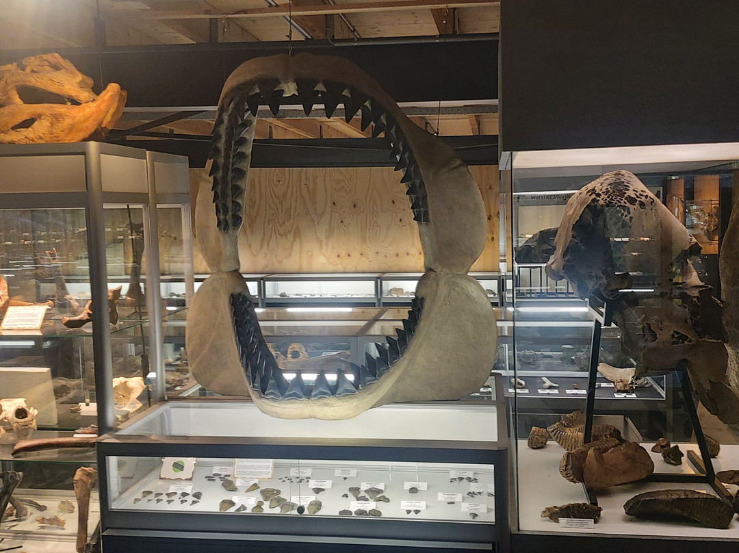 Het Oertijdmuseum-Boxtel必去景点