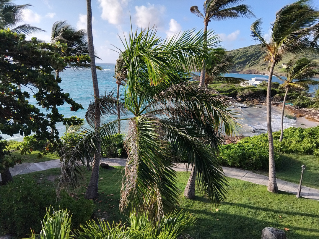 St. James Club & Villas主图