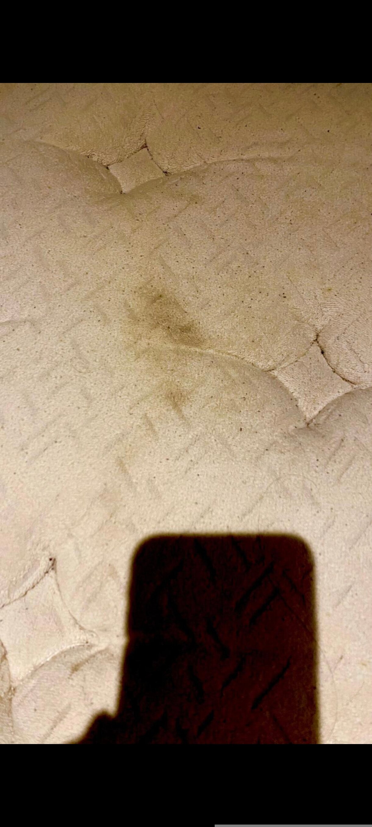 德莫里蒙特庄园酒店-官方