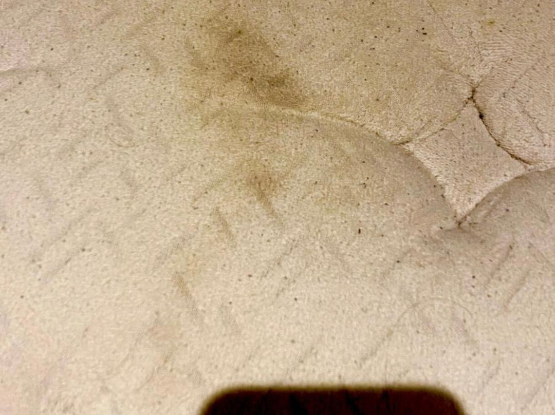 德莫里蒙特庄园酒店主图