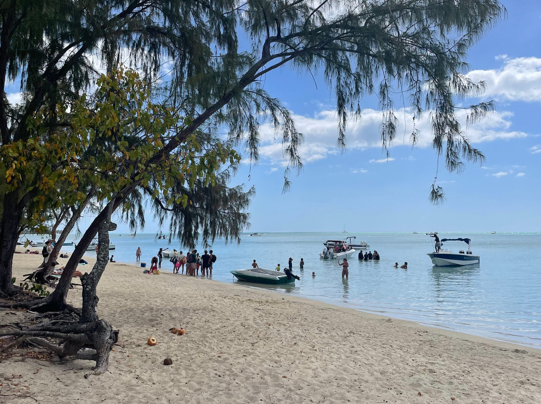 Adrien's Dream-弗力克昂弗雷克必去景点