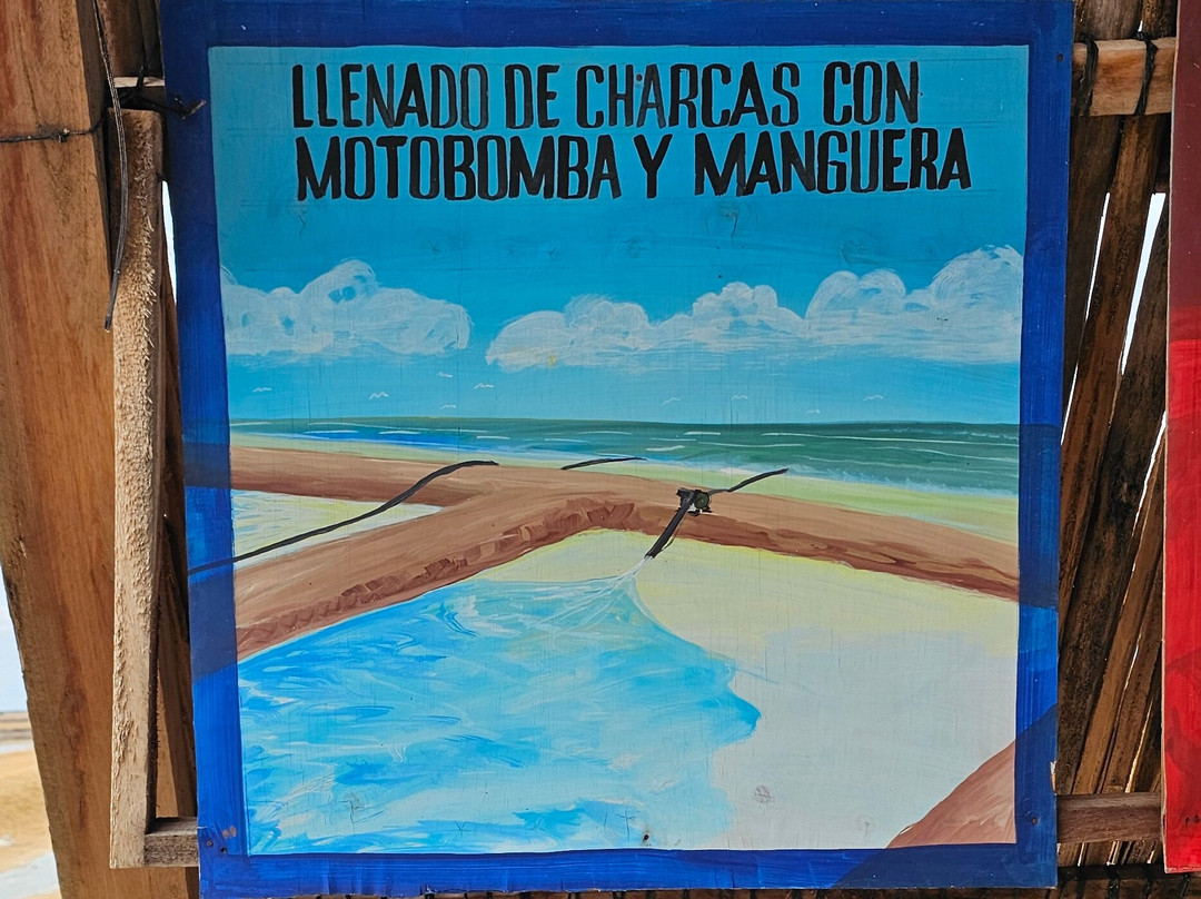 Salinas de Manaure-Manaure必去景点