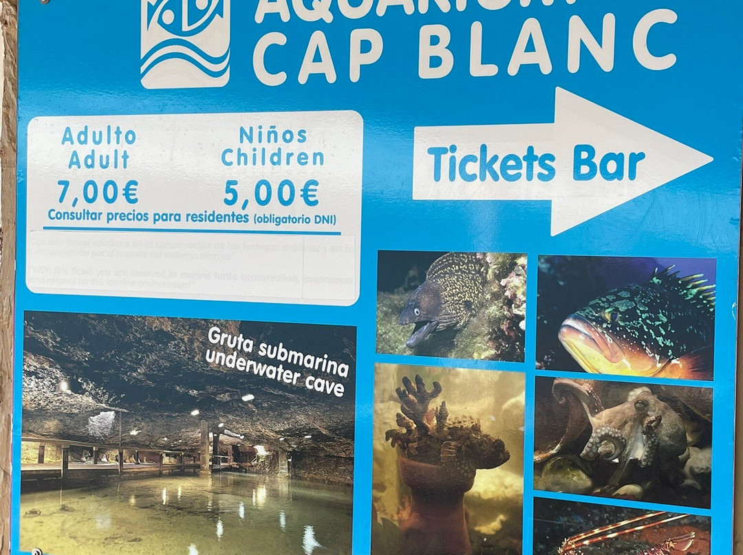 Aquarium Cap Blanc-圣安东尼德波特曼尼必去景点