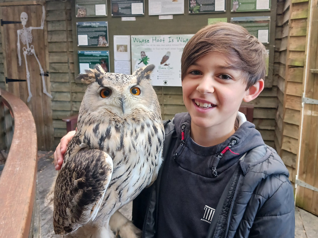 Totnes Rare Breeds Farm-托特尼斯必去景点