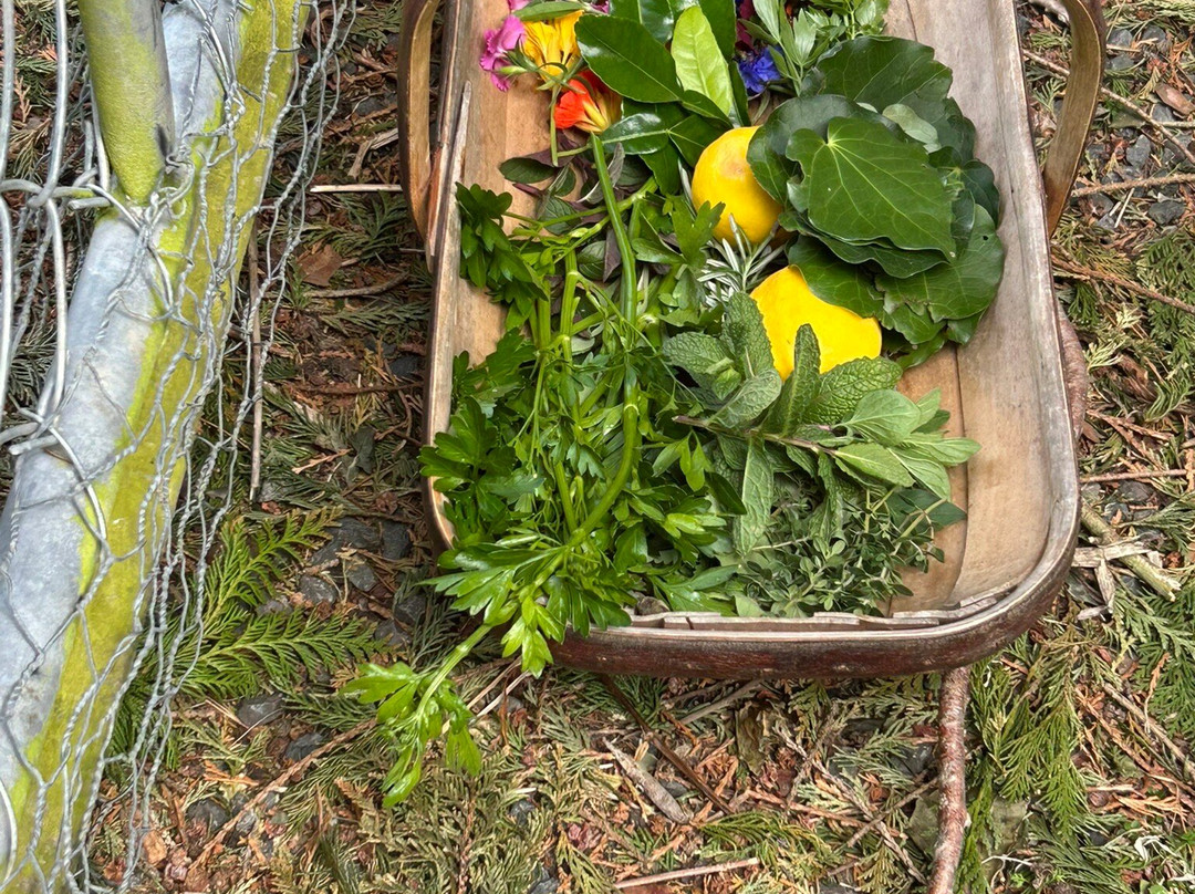 Hapuku Kitchen-Kaikoura必去景点