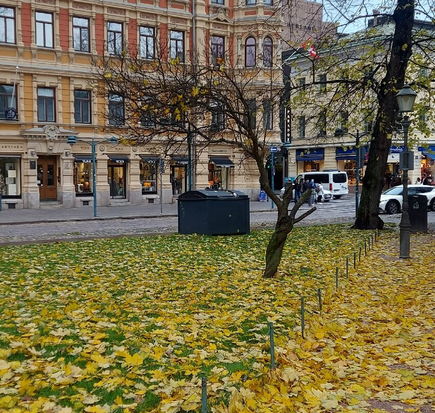 艾斯普那帝公园-赫尔辛基必去景点