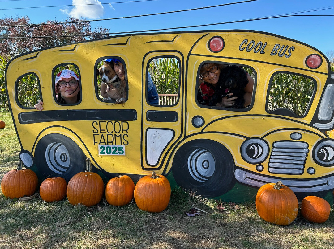 Secor Farms-莫沃必去景点