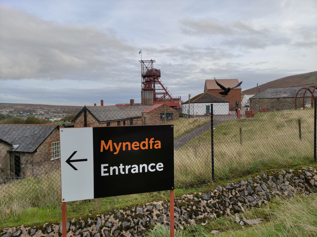 Big Pit National Coal Museum-卡莱纳冯必去景点