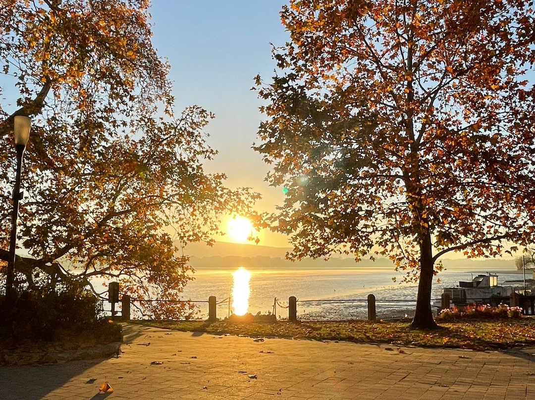 Platan Udvarhaz主图