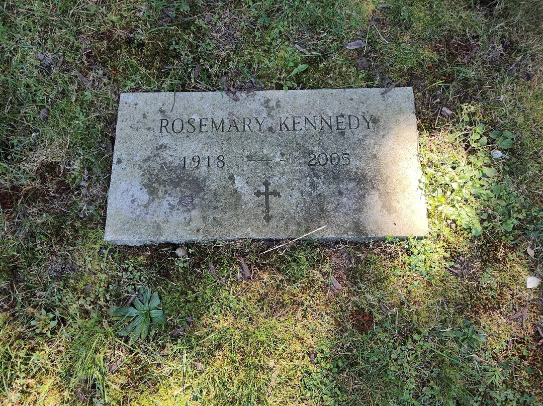 Holyhood Cemetery-布鲁克莱恩必去景点