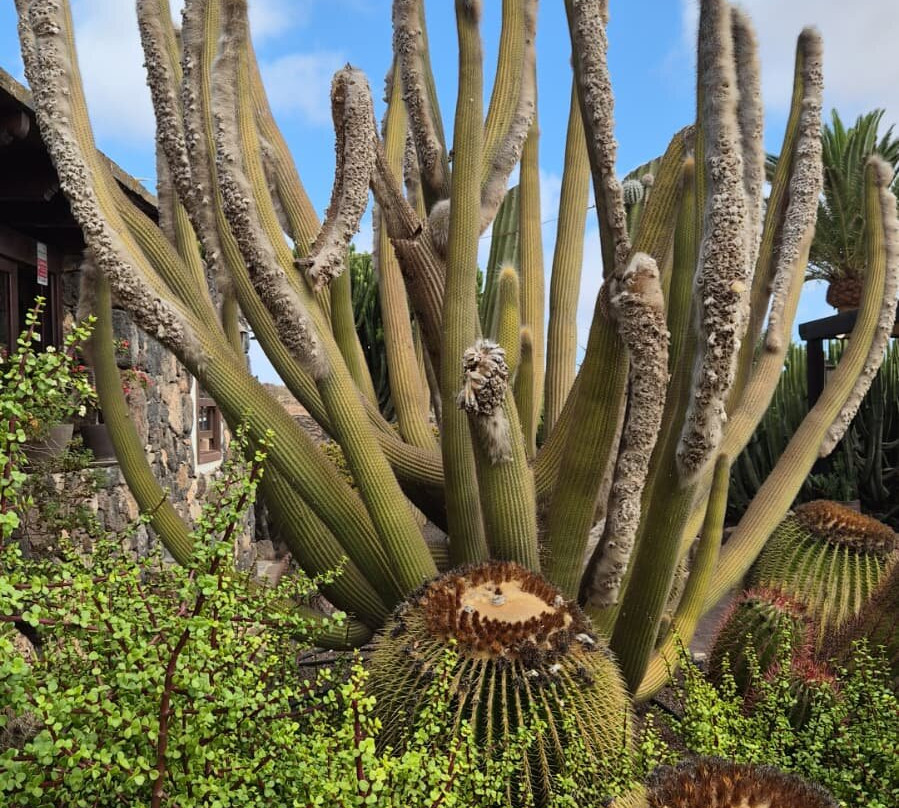 Hotel Rural Mahoh主图