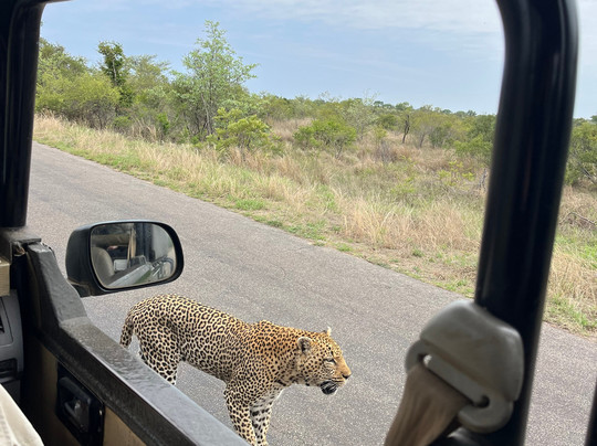 Irving Knight Safaris-玛洛斯帕克必去景点