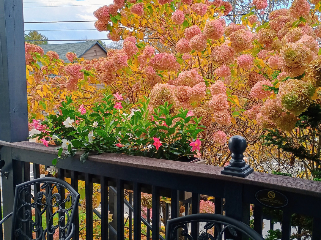 Sea Rose Suites主图