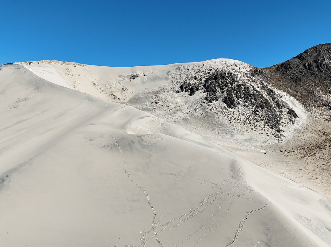 Poncho Tours-萨尔塔必去景点