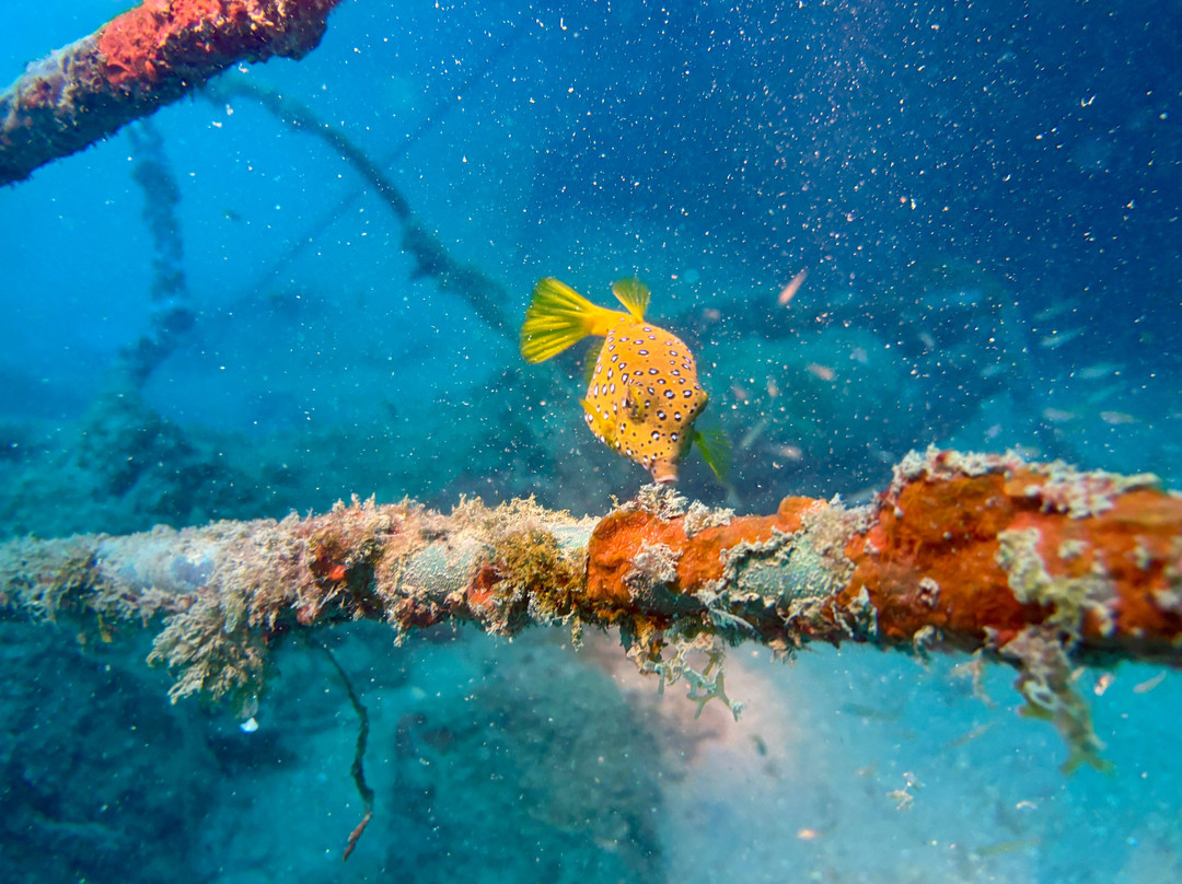 Scuba Nosy Be-诺西贝必去景点
