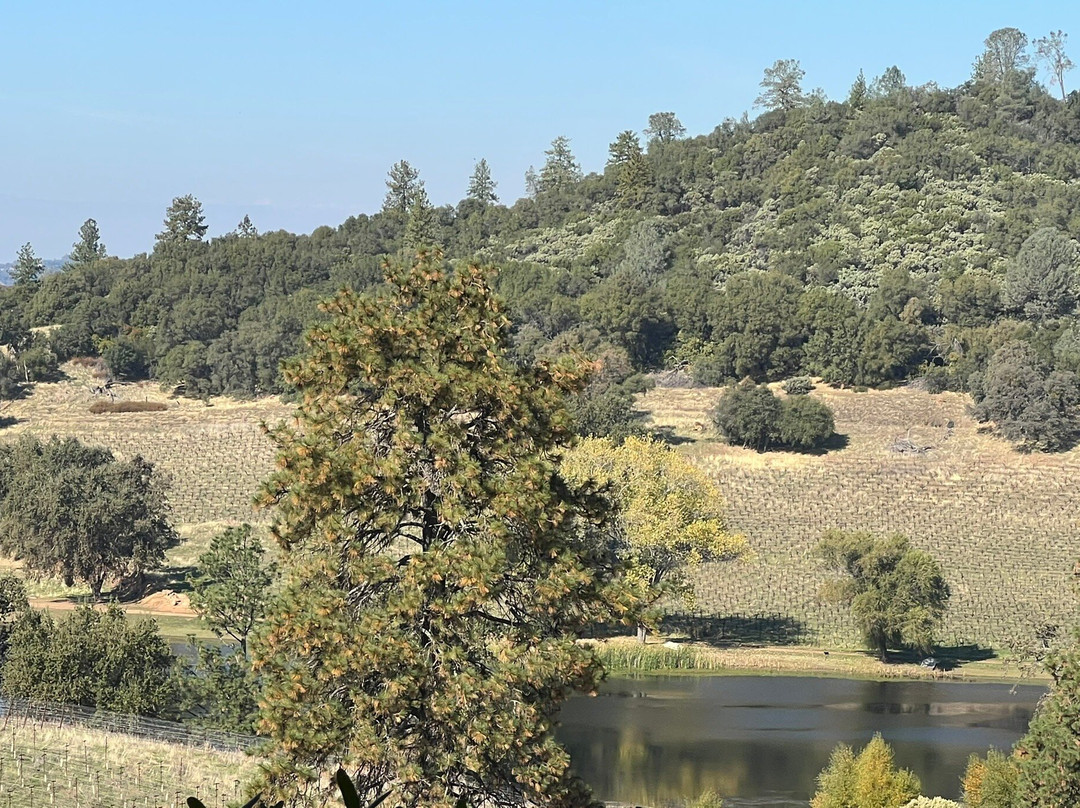 Helwig Vineyards & Winery-Plymouth必去景点