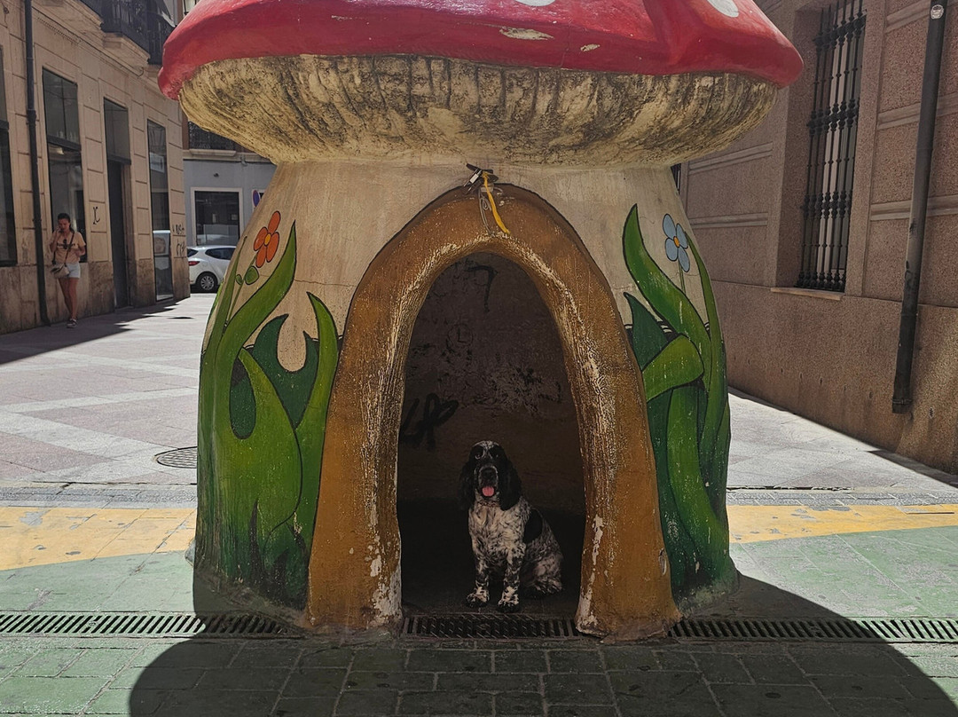 Calle de Las Setas-阿利坎特省必去景点