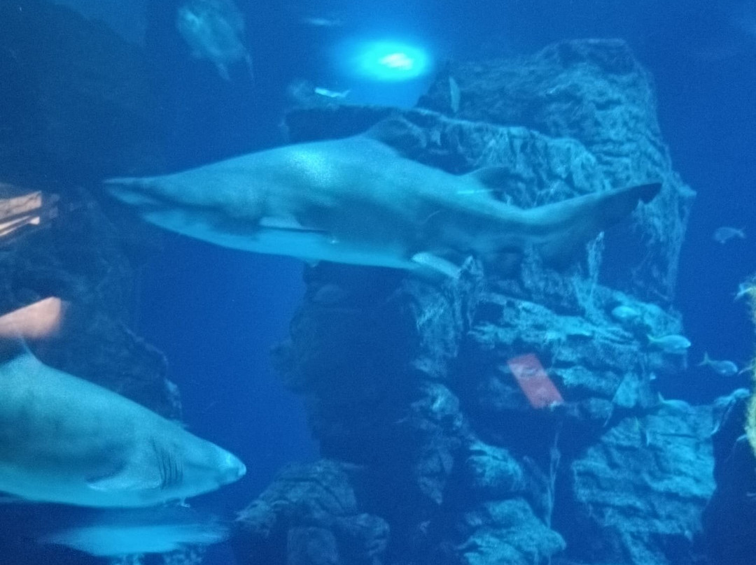 Planet Ocean Montpellier-蒙彼利埃必去景点