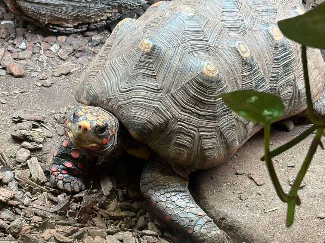 Cannon Hall Farm-Cawthorne必去景点