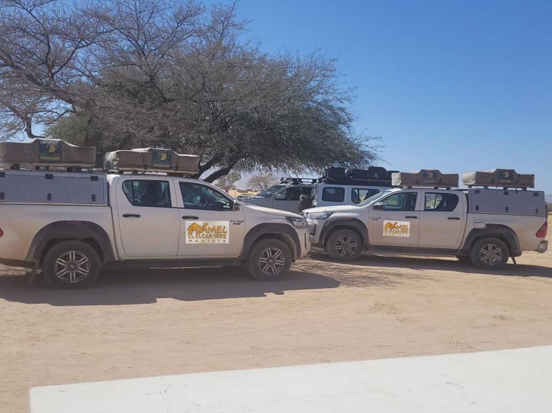 Camel Car Hire Namibia-温德和克必去景点