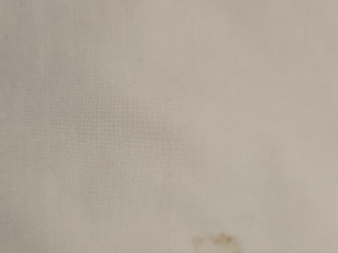 Radstone Hotel主图