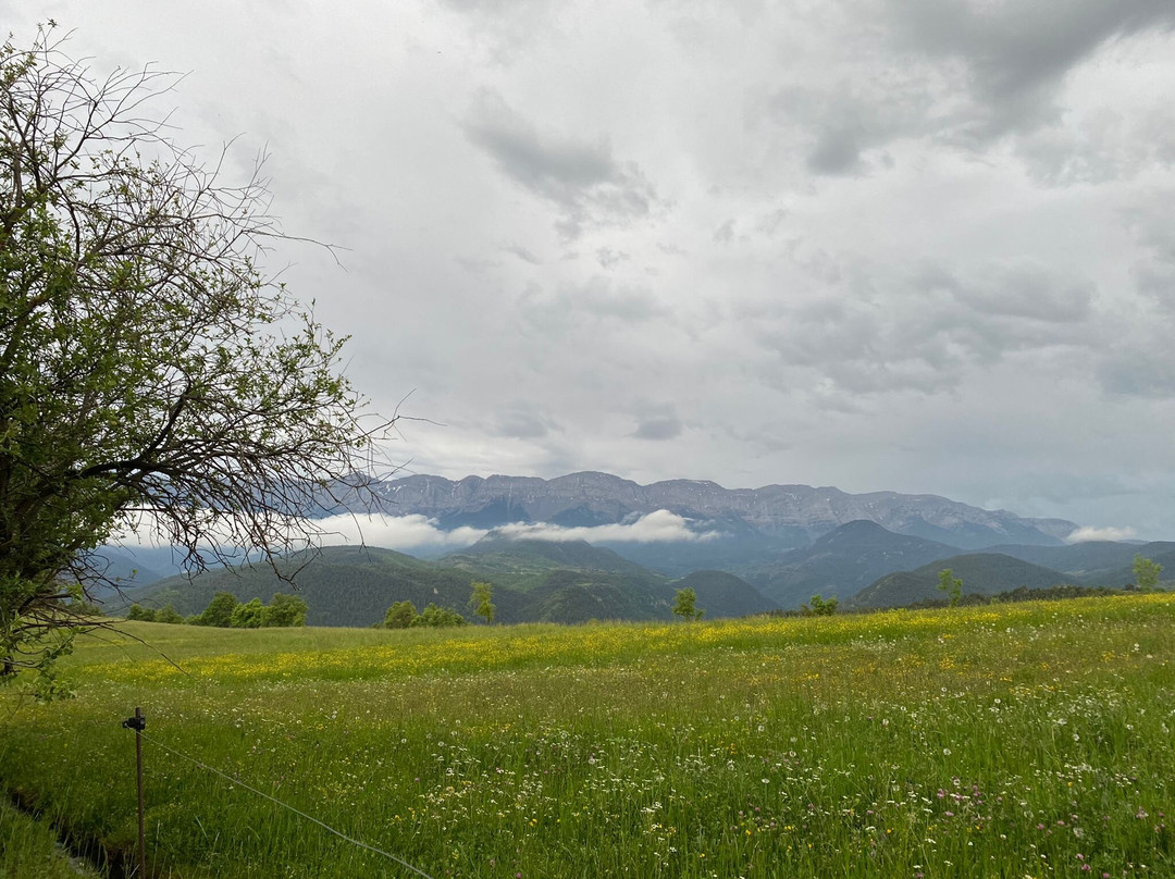 Ansovell酒店住宿-Ca l'Isidro