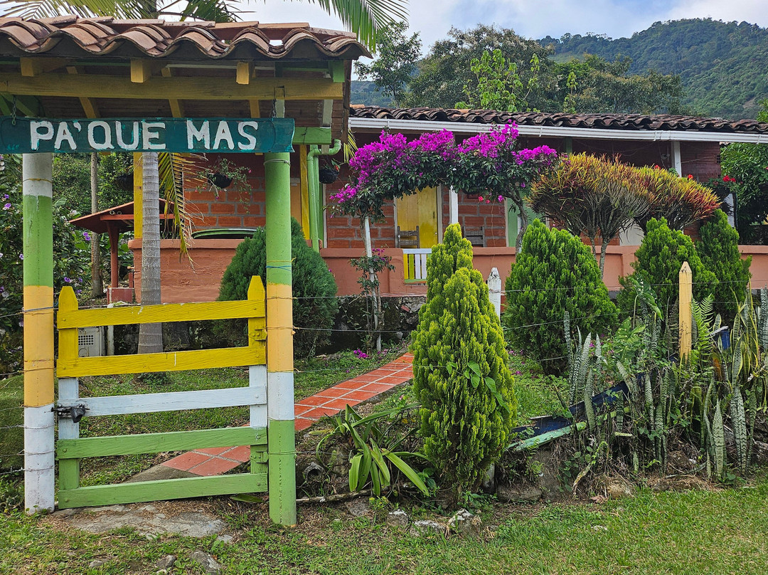 Pura Colombia Mindful Travel-麦德林必去景点