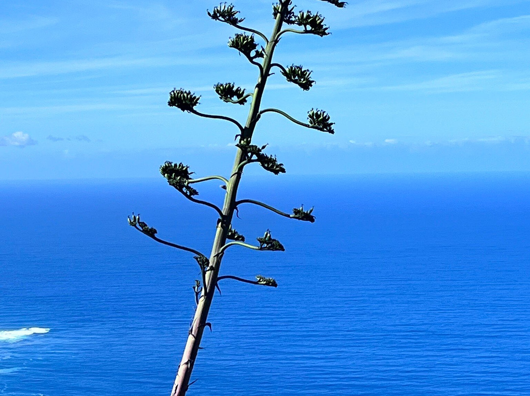 Mirador Lomo Molino By El Mortero-El Tanque必去景点