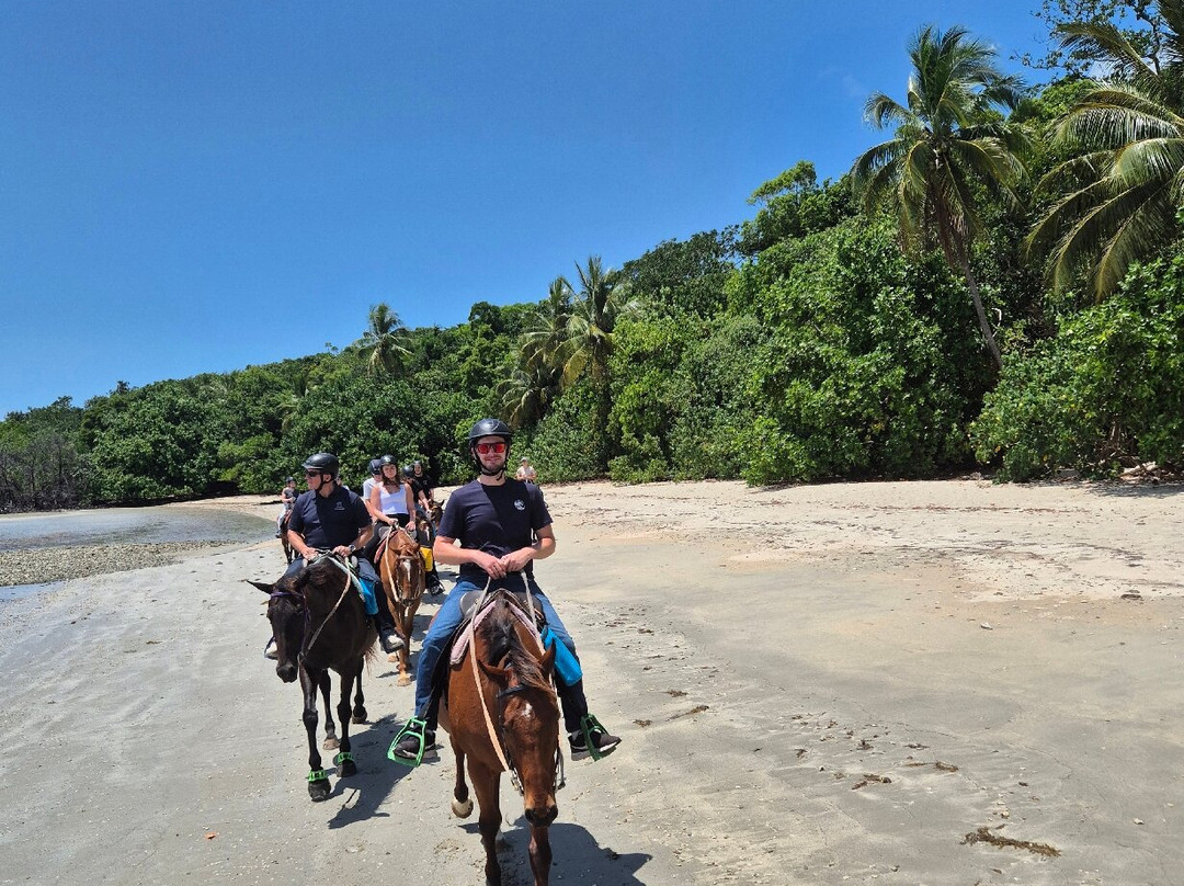 Cape Trib Horse Rides-Cape Tribulation必去景点