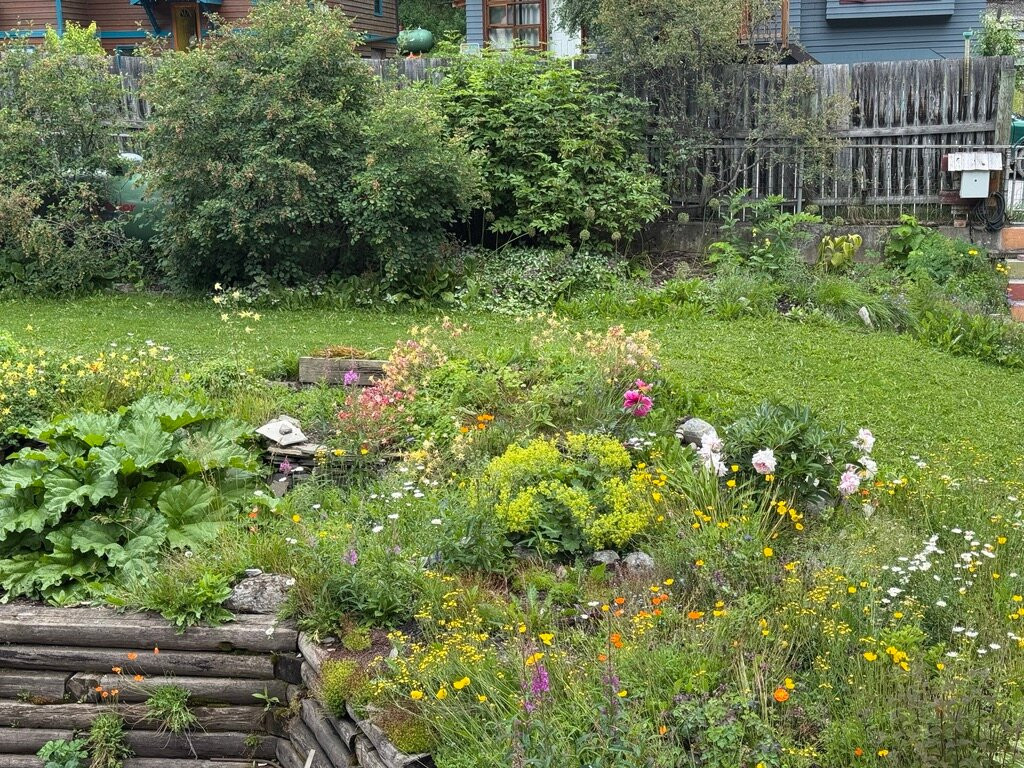 Mt Burgess Guesthouse主图