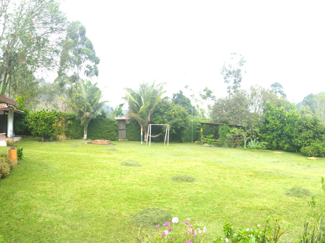 Paraiso Cocora主图