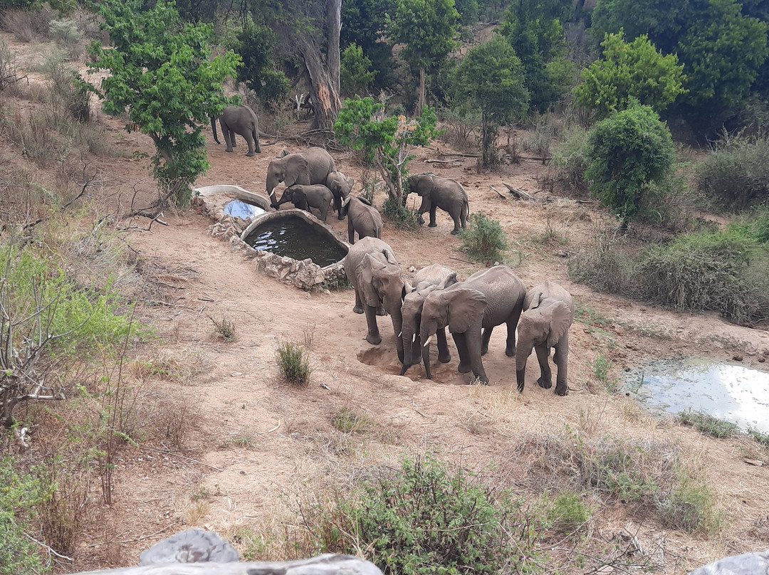 Reteti Elephant Sanctuary-桑布鲁国家保护区必去景点