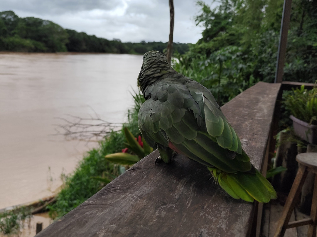 GREEN HOUSE TAMBOPATA-Filadelfia必去景点