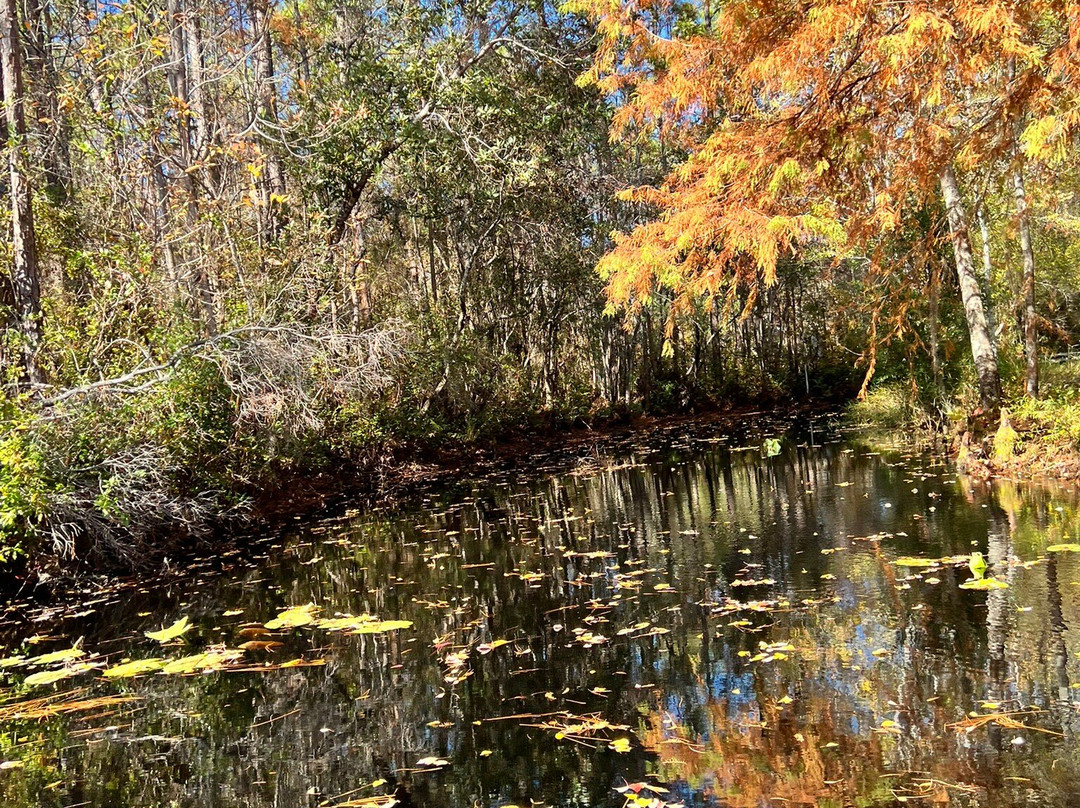 Okefenokee Swamp Park-Waycross必去景点