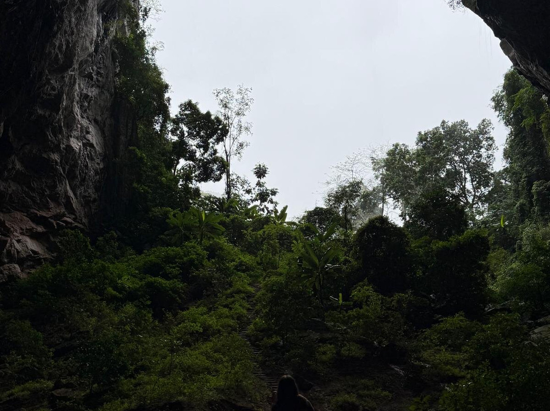 Jungle Boss Tours-峰牙－己榜国家公园必去景点