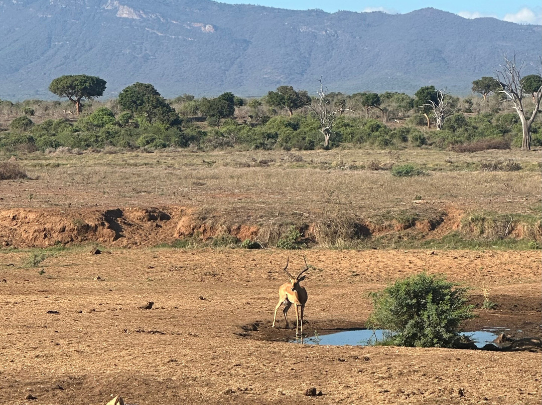 Northern Wild Hunters-班布里必去景点