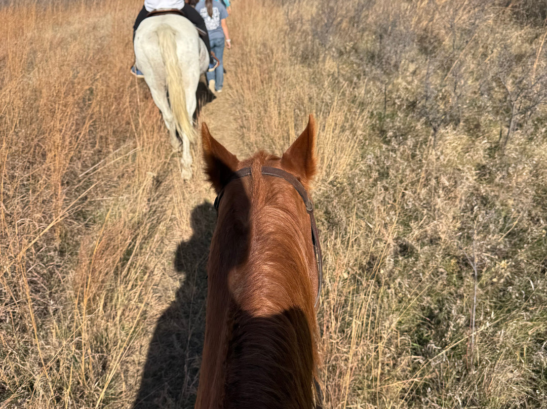 Christine's Horseback Riding-卡尼必去景点