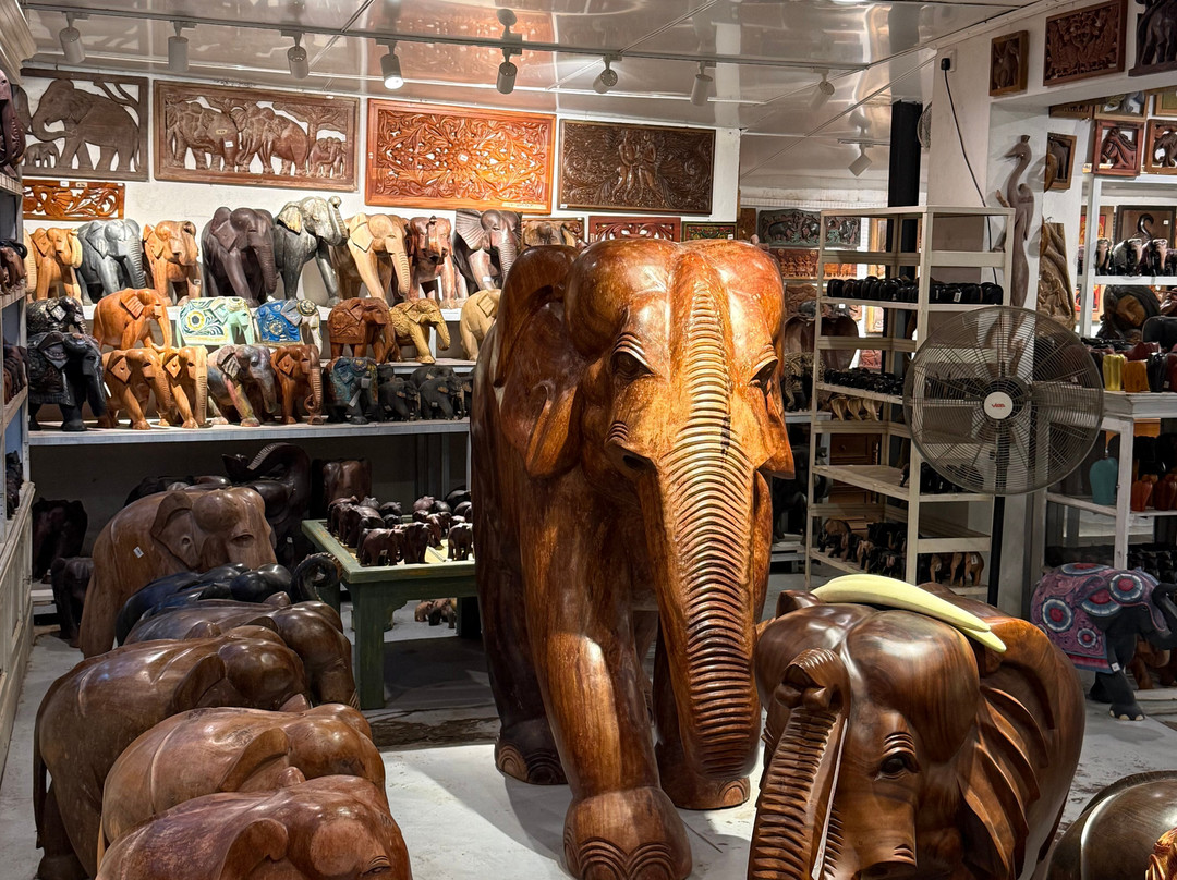 Zion Lanka Tours-Katana必去景点