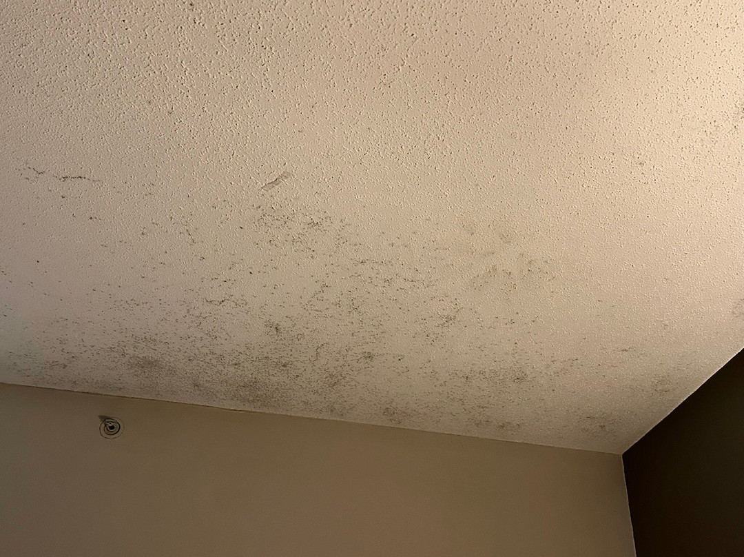 Country Inn & Suites by Radisson, Salisbury, MD主图